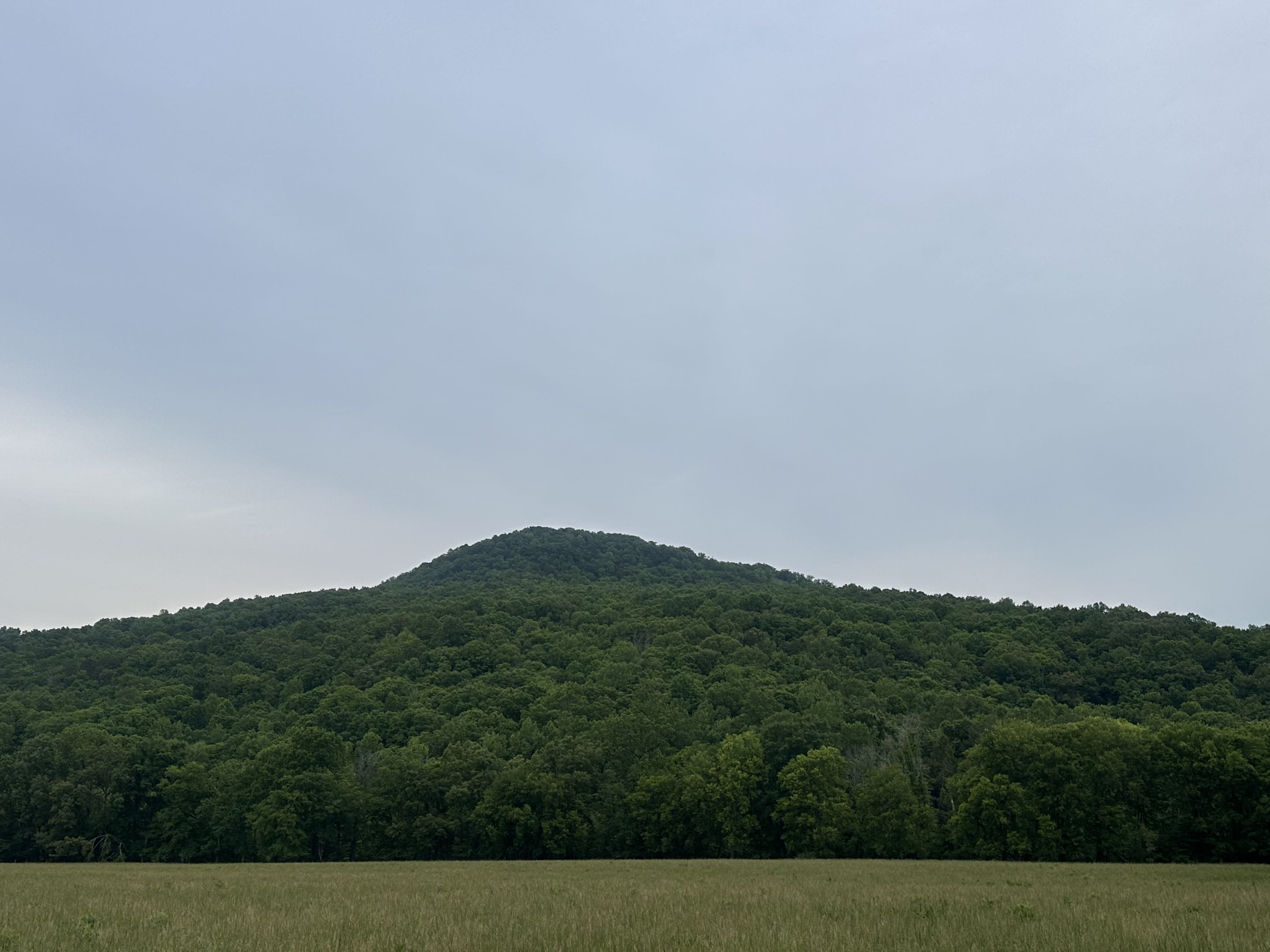 Looking north from Coppinger Cove toward the plateau