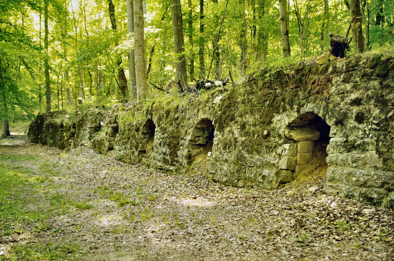 Beehive coke ovens at Dunlap Coke Ovens Park in Sequatchie County