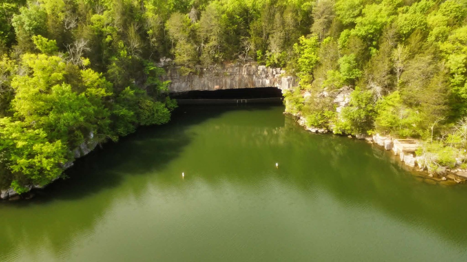 Nickajack Cave in summer