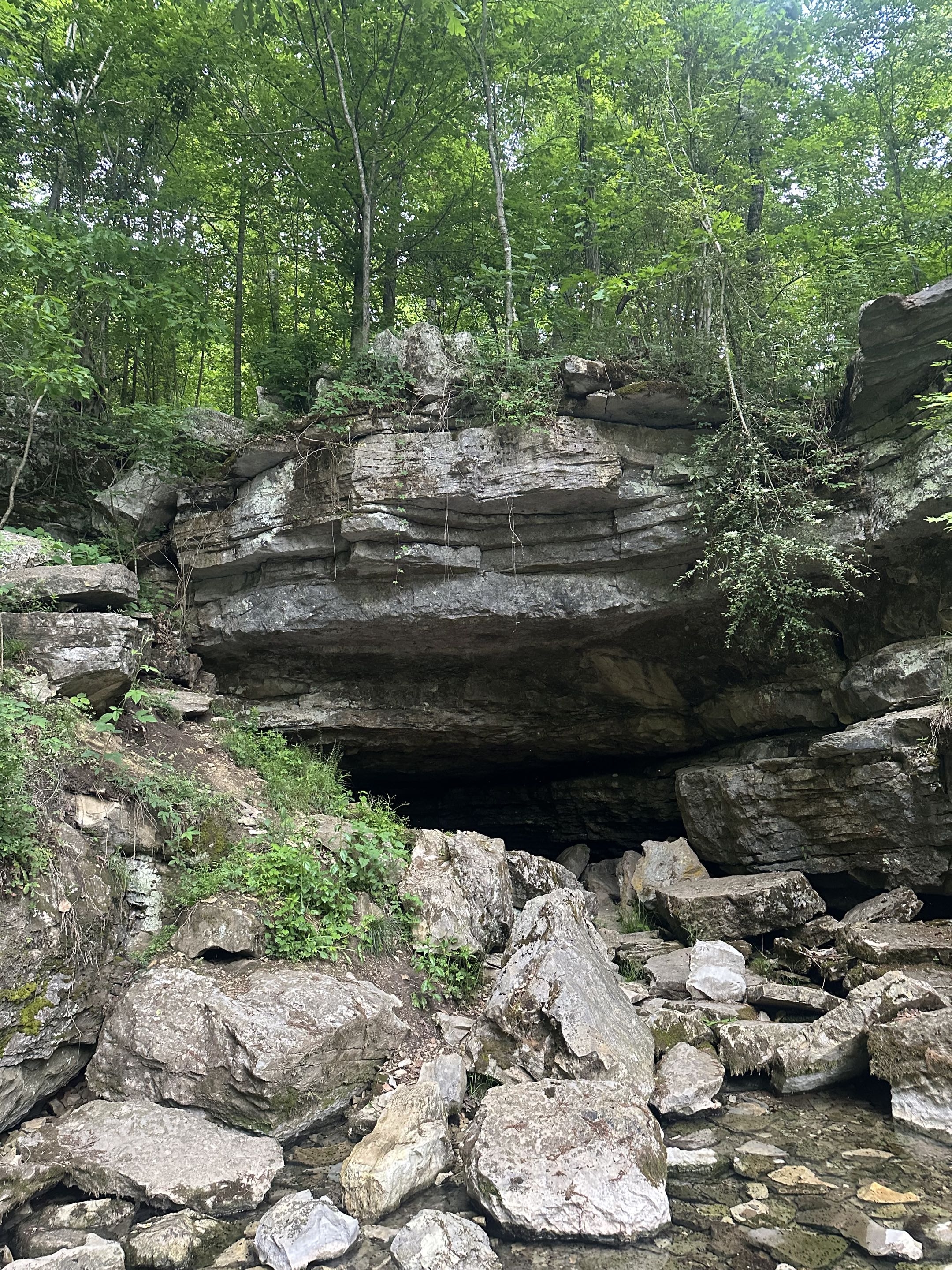 Sequatchie Cave entrance