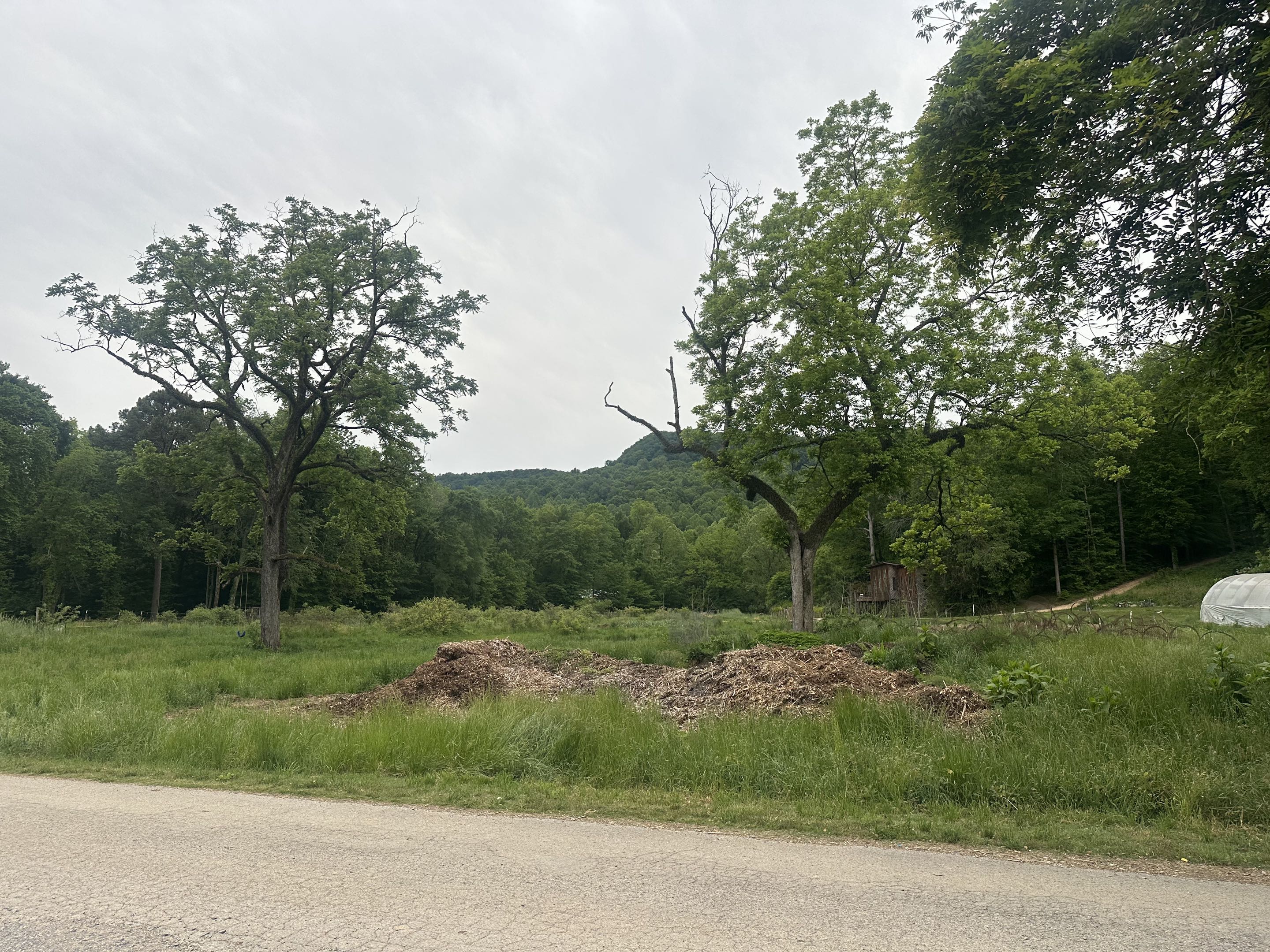 Sequatchie Cove Farm in Coppinger Cove