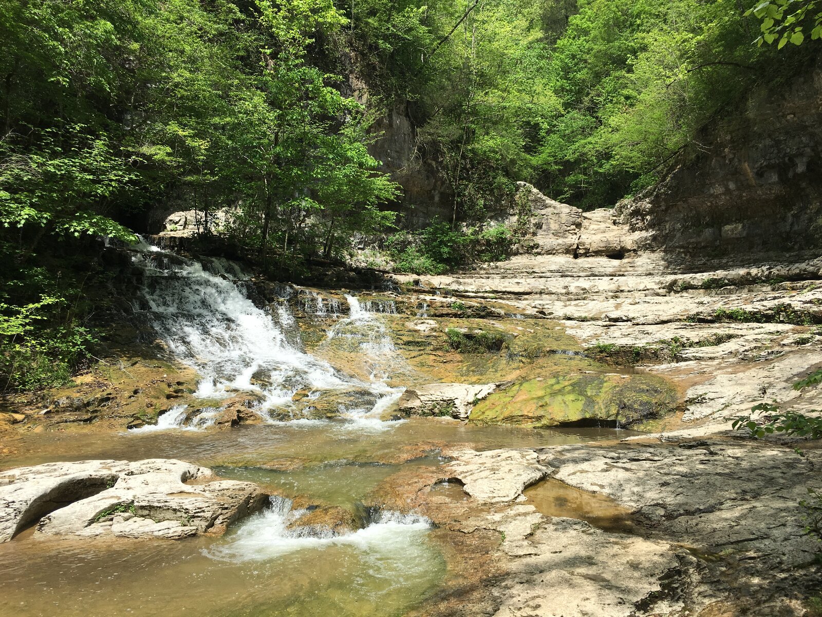 The falls at the Walls of Jericho on the Tennessee side of the canyon